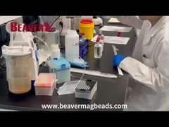 BEAVER biomedical è un produttore di nano-biomateriali di ricerca e sviluppo in tecnologia di superficie in