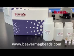 BeaverBeads defeca la stabilità di Kit Extract Nucleic Acid Excellent del RNA