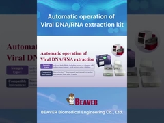 Kit di estrazione e depurazione dell'acido nucleico BeaverBeadsTM Metodo di estrazione con perline magnetiche