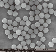 Qualità  1μm 10 mg / mL 50 mL Carboxylated Magnetic Beads For Immunodiagnosis Fabbrica