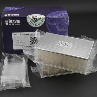 Qualità  Viral DNA RNA Kit Nucleic Acid Extraction Kits Prefilled Plates 32 Reactions U Bottom Fabbrica