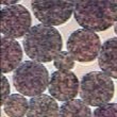 Qualità  5 mL NHS Activated Magnetic Beads Preactivated N - Hydroxy Succinimide Nanoparticle Fabbrica