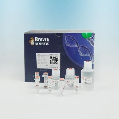 Il castoro dell'estrazione borda l'OEM del DNA di circolazione Kit Support