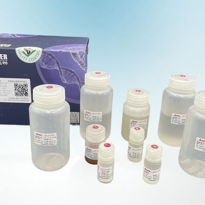 Il castoro borda la selezione di circolazione del tumore di Kit For Prenatal Diagnosis And dell'estrazione del DNA