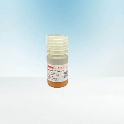 corredo di costruzione magnetico della biblioteca del DNA delle perle di distacco di Oligo del μM 100mL 2,8 FDA