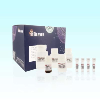 Estrazione Kit With High Compatibility del RNA del sangue di BeaverBeads