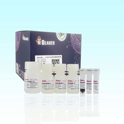 Elevata purezza del DNA del DNA Kit For Extract del sangue di BeaverBeads