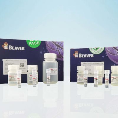 DNA del DNA Kit For Extract del sangue di FDA BeaverBeads rapidamente