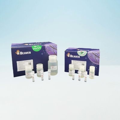 Rapidamente DNA Kit For Laboratory Use del sangue di BeaverBeads
