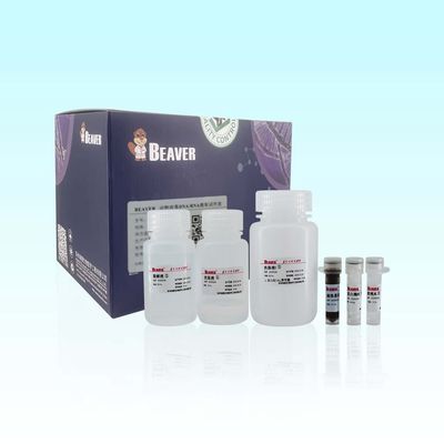 96 Rxns BeaverBeads pre hanno riempito il RNA Kit For Multiple Complex Samples del DNA virale animale