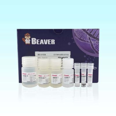 Corredo 100 Rxns del DNA del tessuto di BeaverBeads per i campioni complessi multipli