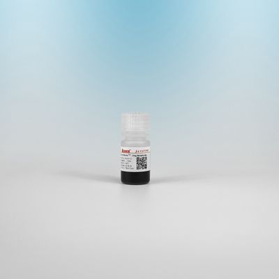 dosagggio immunologico e bloccaggio di BeaverBeads Streptavidin For di 2,8 μM