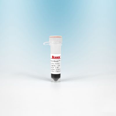 Lle perle magnetiche NHS 300 nanometro da 10 ml BeaverBeads per isolamento delle cellule con il più alta sensibilità