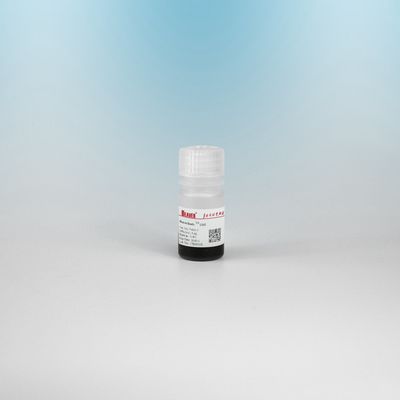 BEAVER GST fusione proteine perline purificate GSH Magnetic Beads Purificazione proteica Nuovo materiale funzionale Progettato kit GSH GST purificazione proteica