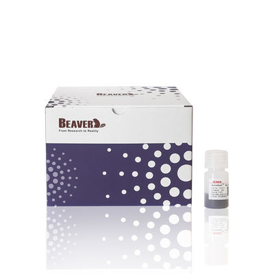 Fe3O4 Magbeads polimerici carbossili Magbeads immunodiagnostici Magbeads 2μm 10 mg / mL 5 mL