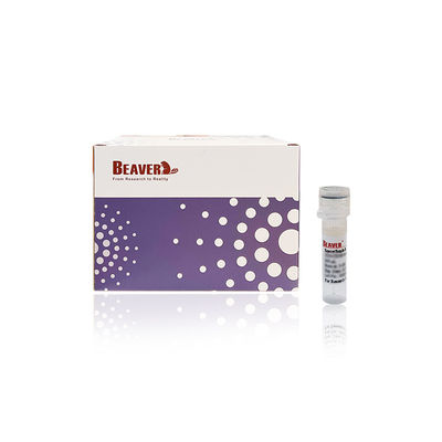 BEAVER GST fusione proteine perline purificate GSH Magnetic Beads Purificazione proteica Nuovo materiale funzionale Progettato kit GSH GST purificazione proteica