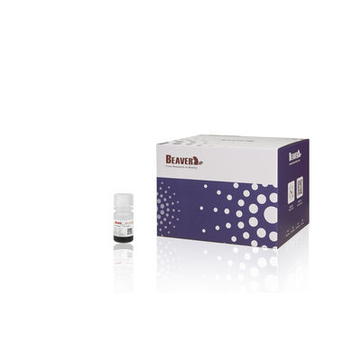 BEAVER GST fusione proteine perline purificate GSH Magnetic Beads Purificazione proteica Nuovo materiale funzionale Progettato kit GSH GST purificazione proteica