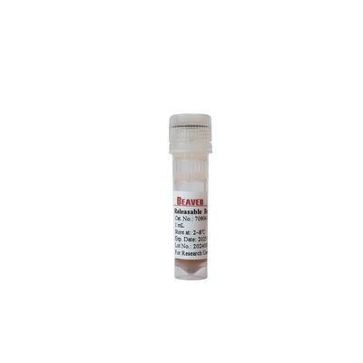 BEAVER GST fusione proteine perline purificate GSH Magnetic Beads Purificazione proteica Nuovo materiale funzionale Progettato kit GSH GST purificazione proteica