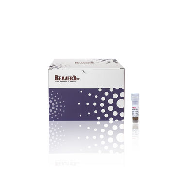 BeaverBeads® Anti-HA Magnetic Beads HA Tag Purificazione delle proteine Magnetic Beads 0.5mL/1mL/5mL HA-Protein Beads