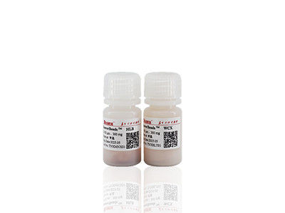 100 ml di BeaverBeads IDA-Co con elevato throughput e basso costo 30-150um 10% di concentrazione