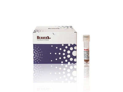 Perline di polimeri magnetici di grado immunoassay, dimensioni 1μm 5 ml