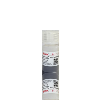 Perline di polimeri magnetici di grado immunoassay, dimensioni 1μm 5 ml