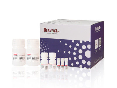 100 Rxns BeaverHead Animal Viral DNA RNA Kit Per Automazione E Alta Trasmissione