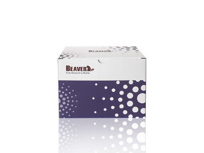 Estrazione Kit With High Compatibility del RNA del sangue di BeaverBeads