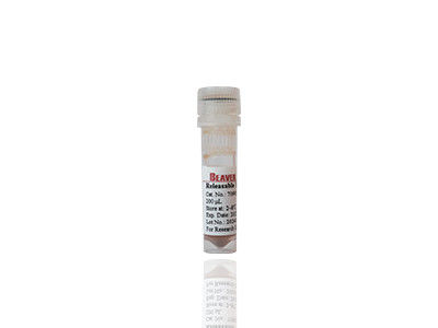 30-150 micron perline magnetiche Purificazione proteica campione gratuito