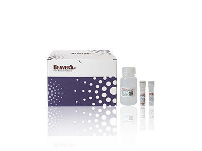 Estrazione del DNA Kit For Fast And Efficient della pianta di BeaverBeads nella ricerca scientifica