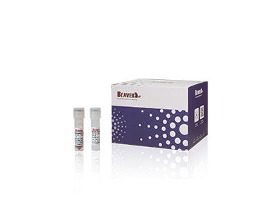 RNA Kit For Scientific Research del DNA virale animale di 20 Rxns BeaverBeads