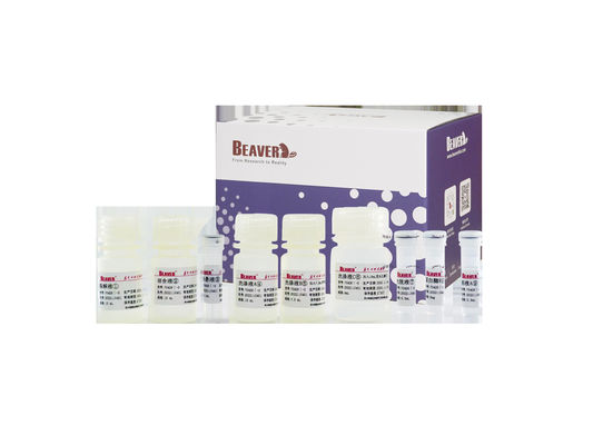 Test ambientale del kit di estrazione dell'acido nucleico delle acque reflue BeaverBeadsTM