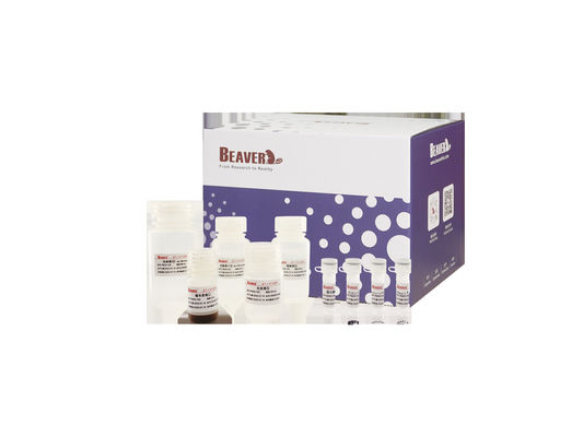 BeaverBeadsTM DNA / RNA Estrazione di acidi nucleici del sangue Perle magnetiche Kit di estrazione del genoma Estrazione del kit di RNA Genomica