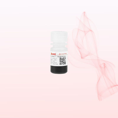 Perline magnetiche di streptavidina BeaverBeads 1um/2um/5um/300nm/2.8um/3um per chemiluminescenza e rilevamento degli acidi nucleici