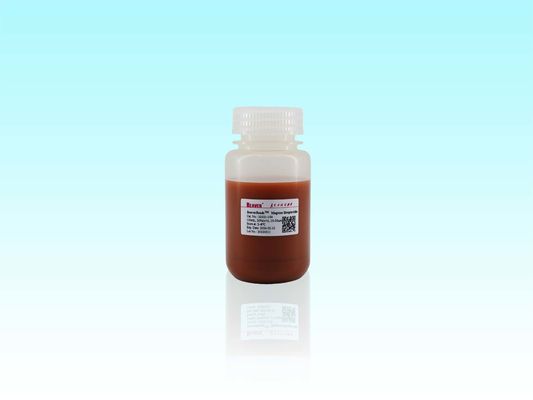 BeaverBeads 10-30μm Magros Streptavidin Magnetic Beads La soluzione definitiva per l' arricchimento e la purificazione delle proteine