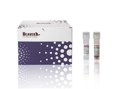 Kit di isolamento delle cellule CD4 del topo BeaverBeads certificato CE per la ricerca di laboratorio