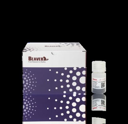 BeaverBeads perline magnetiche anti-HA