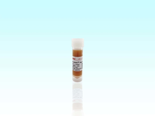 Perline magnetiche Magrose DEAE BeaverBeads