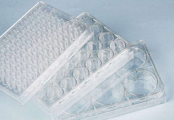 Piatto della coltura cellulare 6-Well della sospensione per le cellule compreso hMSC