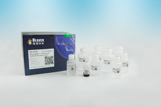 Purificazione magnetica 2μm della proteina delle perle dell'anticorpo della proteina A/G 30 mg/ml 5 ml