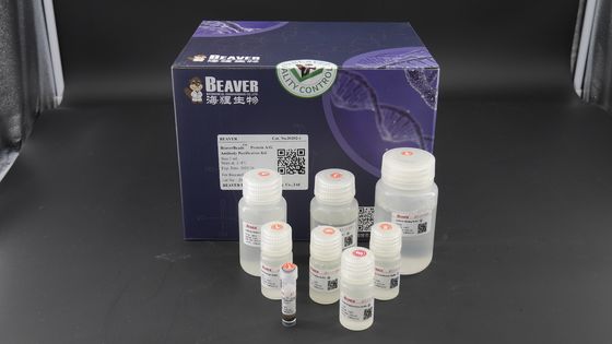 2μm 30 mg/ml 1 ml della proteina A/G di purificazione Kit For Protein Purification dell'anticorpo