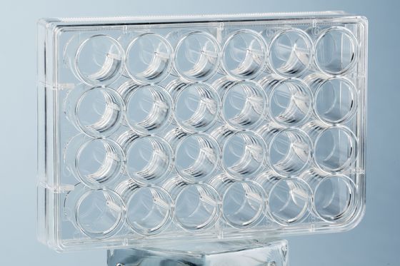 Il laboratorio 24 placca bene il polistirolo dei materiali di consumo della coltura cellulare