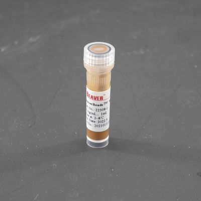 perle magnetiche di 300nm Streptavidin per la cellula che ordina bloccaggio della sonda 10 mg/ml 1 ml