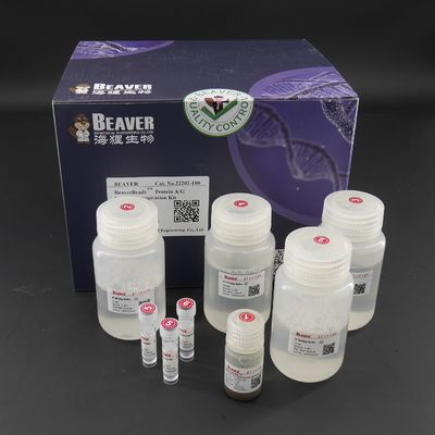 10 mg/ml proteina perle magnetiche per immunoprecipitazione 100 reazioni
