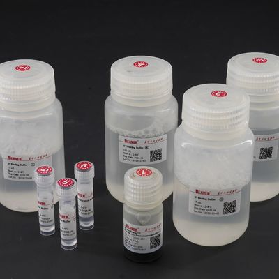 10 mg/ml proteina perle magnetiche per immunoprecipitazione 100 reazioni