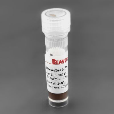 300nm 50 mg/ml le perle magnetiche di 1 silice di ml per il PC dell'estrazione della proteina
