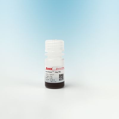 La silice magnetica amminica di purificazione della proteina borda 500nm 10 mg/ml 50 ml