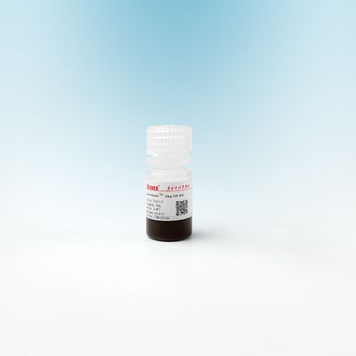 Perle magnetiche della silice di MAG OH per l'estrazione 500nm del DNA 10 mg/ml 5 ml