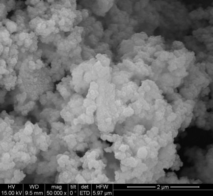 Estrazione 1μm del DNA di Silane Magnetic Beads For 50 mg/ml 10 ml
