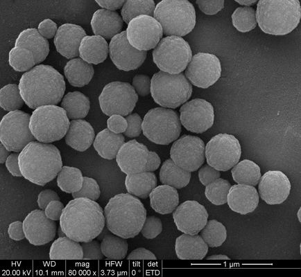 Forte magnetismo eccellente Silane Magnetic Beads 500nm 50 mg/ml 50 ml